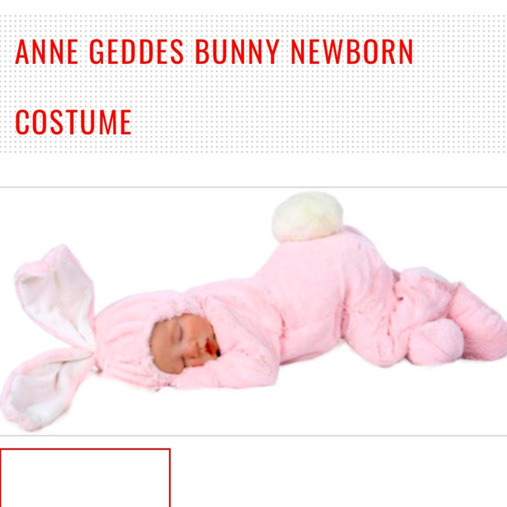 Anne Geddes Pink Bunny Costume for Infants, seems to be retired.